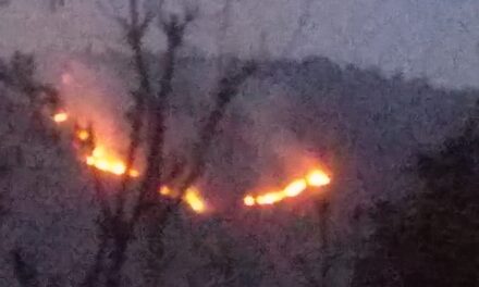 Fire Breaks Out In Ajas Wildlife Range Of Bandipora