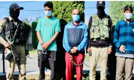 Police busted Hizb militant module by arresting three militant associates in Kulgam:Police