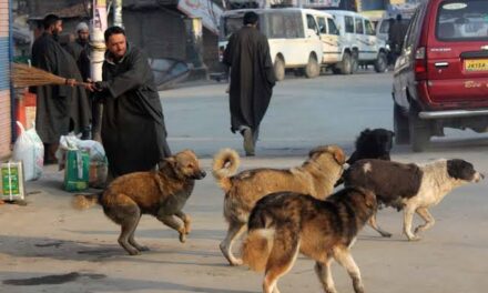 17 tourists among 39 injured in stray dogs attack at Dalgate