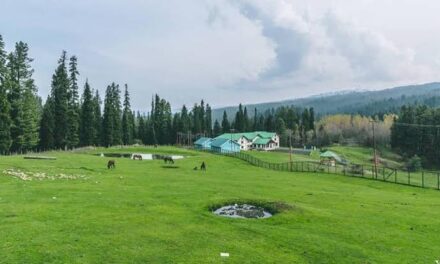 Visitors find Yousmarg less attractive in absence of basic facilities