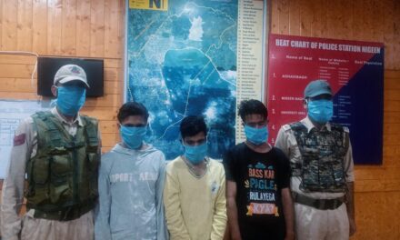 Juvenile among three arrested for kidnapping, sexually assaulting minor girl in Srinagar: Police