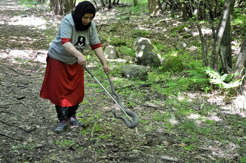 Meet Kashmir’s lone female wildlife expert who rescues snakes, reptiles, wild animals in a ‘Play-Way Method’
