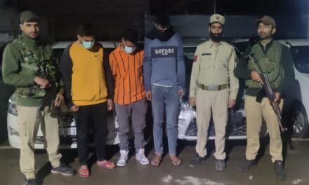 Car lifting module busted in Srinagar, three arrested, four cars recovered: Police