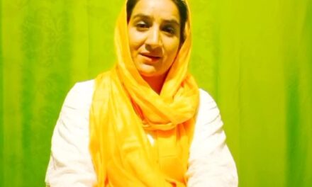 TV Artist, nephew injured in militant attack in Chadoora Budgam