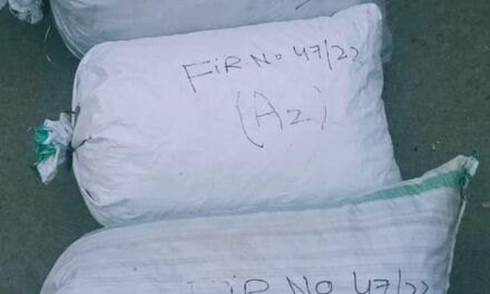 Police recovers huge quantity of poppy straw in Pulwama
