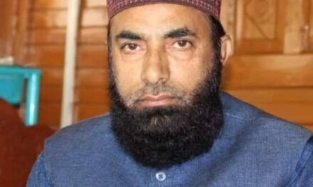 Biker rider dies in Kangan road accident