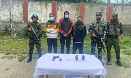 3 Al-Badr OGWs held in Handwara: Police