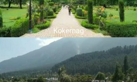 Lack of toilet facility irks tourists visiting Lavender park ,Kokernag