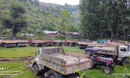 In two days 28 Vehicles seized used in illegal mining during night raids:DMO Ganderbal Er Zulfikar Mohd Shafi