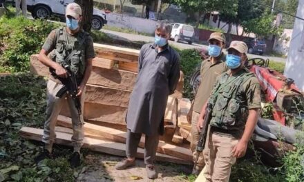 Budgam Police recovered huge quantity of illicit timber in Khag Budgam,accused arrested