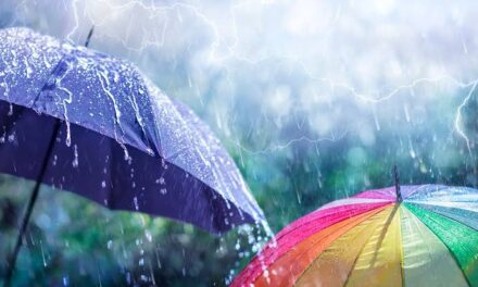 Rains Lash Jammu & Kashmir, MeT Forecasts Mainly Dry Weather From Tomorrow