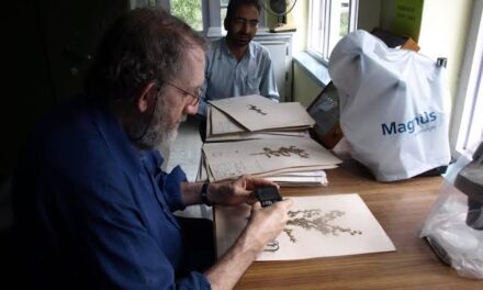 KU’s Herbarium declared 3rd largest in North-western Himalayas, “60K specimen present in Herbarium: Curator