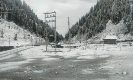 Rains Lash Plains, Upper Reaches Amass Snow In J&K; Mercury Falls To Minus 2.0°C In Gulmarg