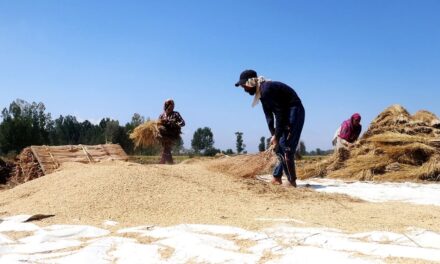 Mainly dry weather forecast in J&K
