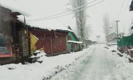 Upper Reaches, Some Plains Likely To Get Snowfall: MeT