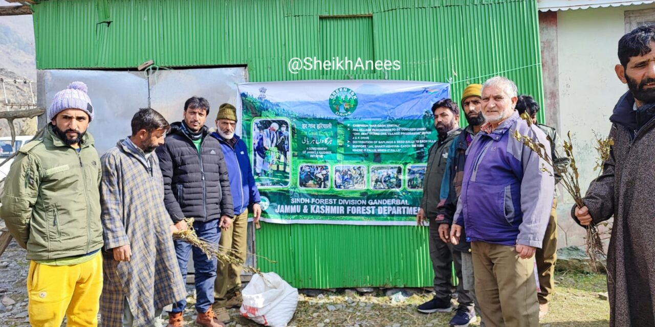 Sindh Forest Division Ganderbal distribute Saplings Seeds and fruit Plants In Gund.