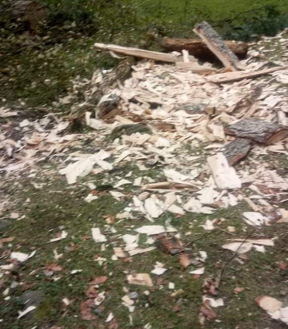 Forest official and Smuggler nexus is turning Pulwama forests into the barren land