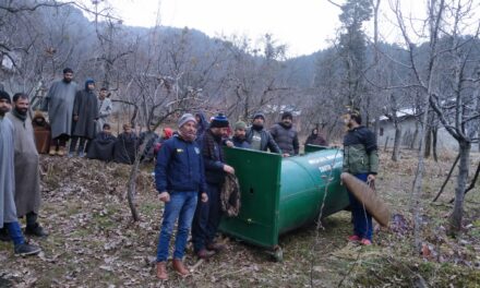 Black Bear Captured By Wildlife Department In Shangus Anantnag