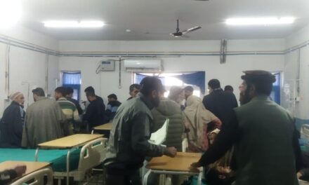 9 injured after load carrier turns turtle in Ganderbal