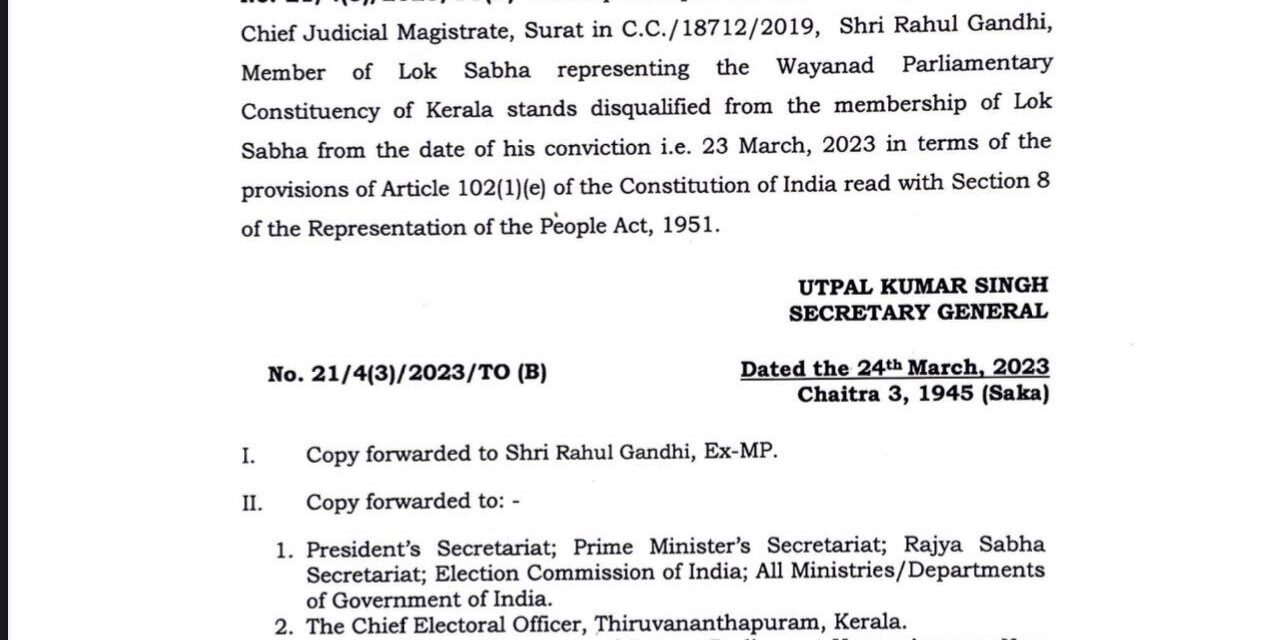 Rahul Gandhi’s Disqualification As MP: What He Can Do Next