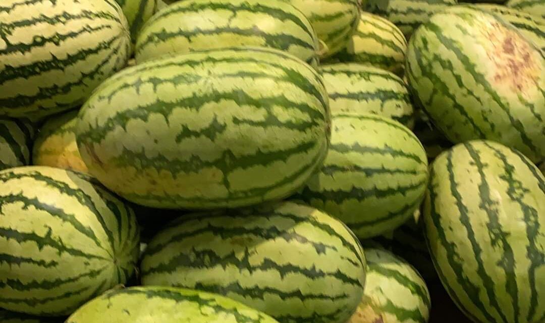 This Ramadhan too, Kashmir keeps dates with dates; consumes 100 trucks in 20 days