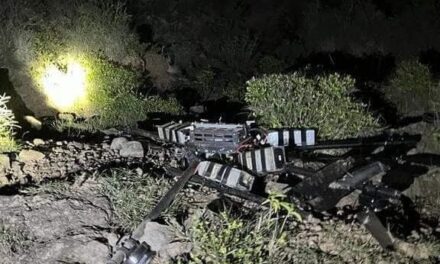 Five loaded magazines recovered in Rajouri after drone movement tracked