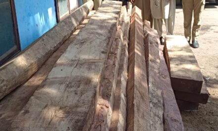 Police seizes illicit timber in Baramulla, 3 accused arrested