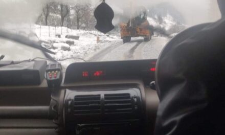 Anantnag Admin Launches Widescale Rescue Op As Nearly 20 Families Alongside Livestock Stuck Near Margan Top