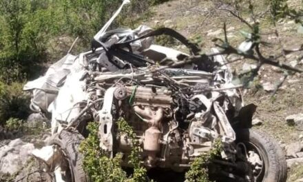 Woman dead, four others injured in Doda road accident