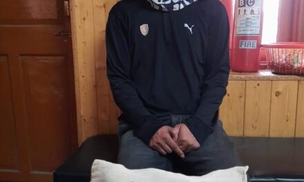 Drug peddler held in Ganderbal: Police