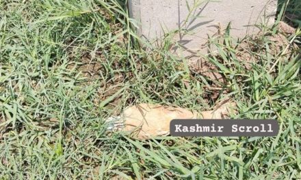 Rusted motor shell found in Jammu, defused