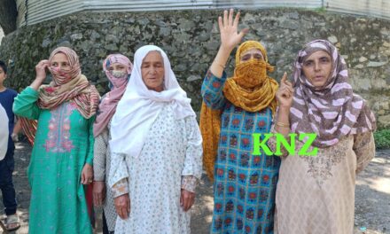 Ganie Mohalla Akhal residents protest against dilapidated road