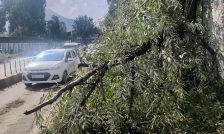 Srinagar’s Batwara reeling under darkness since last night, allege residents