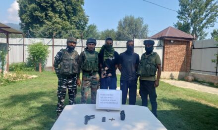 2 hybrid militants arrested in Baramulla: Police