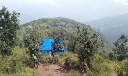 Reasi Gunfight: One Militant Killed, Cop Injured, Operation Continues: Police