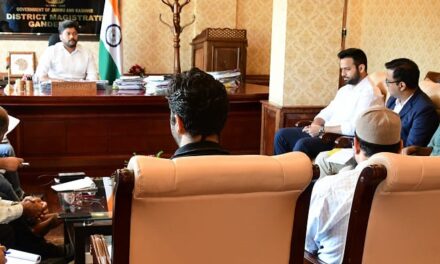 DC Ganderbal reviews beautification measures of town