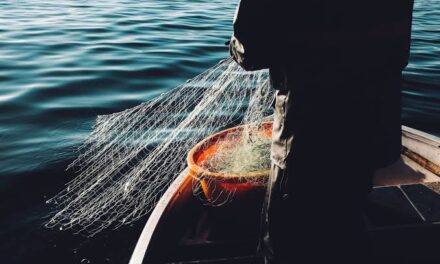 Unchecked illegal fishing pose threat to Trout population in Bandipora