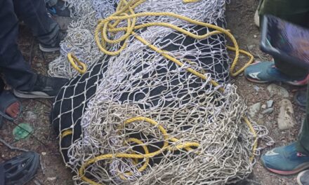 Bear captured alive in Anantnag