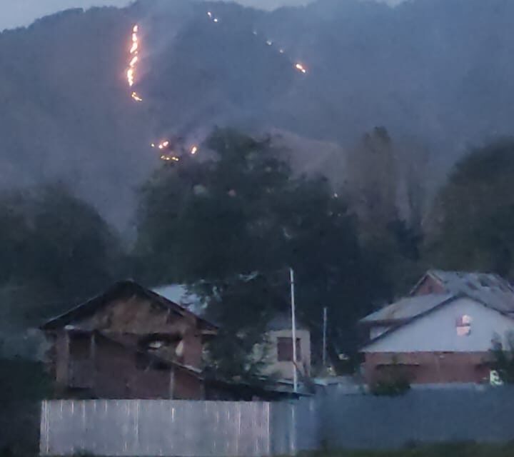 Fire Breaks Out in Tral Forest Area