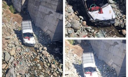 Ayurvedic Doctor Killed, 7 Other Persons Injured in Anantnag Road Mishap