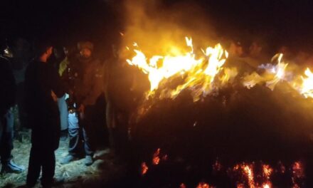 Paddy Crop Gutted in Bandipora Village