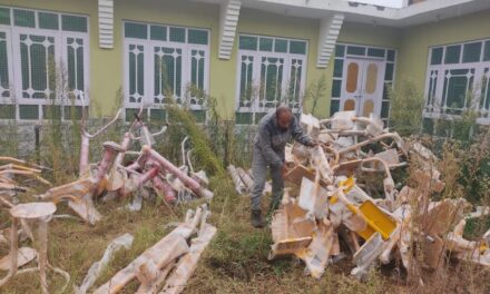 Embrace Outdoor Fitness: Soporians Prepare to Utilize Open-Air Gym for Healthy Living