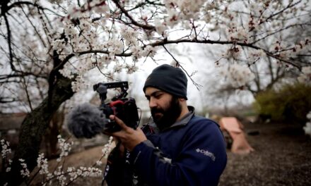 Reuters journalist in Lebanon was killed in ‘targeted’ strike: RSF initial report