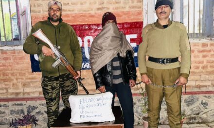 Drug Peddler Arrested at Shadipora;contraband substance recovered:Police