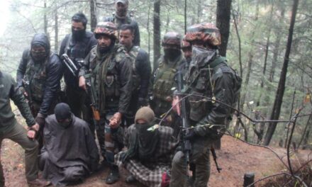 Two LeT terrorist associates arrested in Handwara: Police