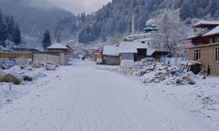 Gurez valley receives another spell of fresh snowfall