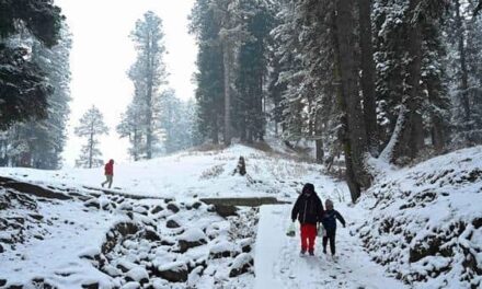 After long dry spell, weatherman predicts snowfall in J&K