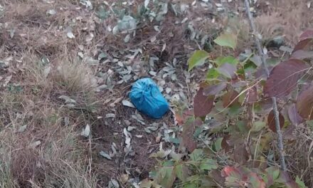 Security forces recover wireless, 23 bullets in Rajouri