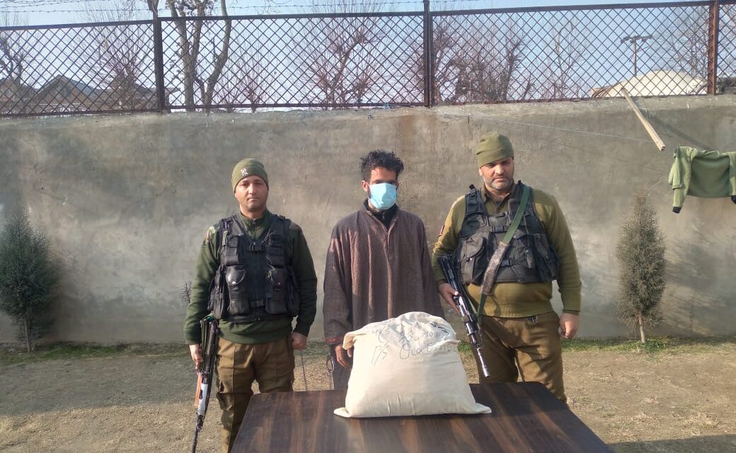 Police arrests a drug peddler in Kulgam; Contraband substance recovered