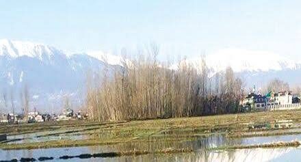 Unprecedented dry spell shrinks water bodies in Kashmir
